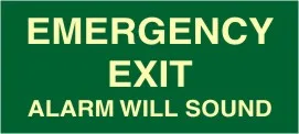 E 239 — EMERGENCY EXIT ALARM WILL SOUND